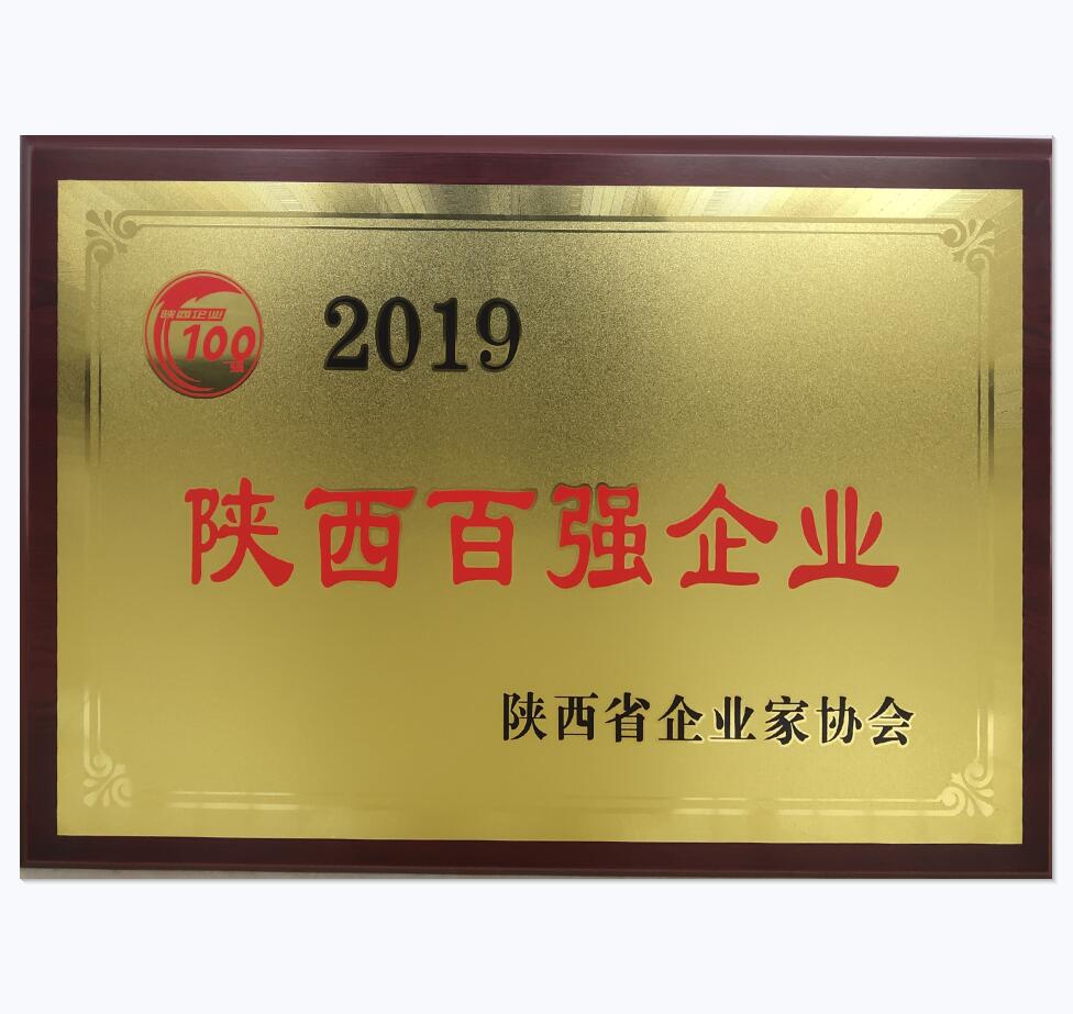 荣获2019年陕西百强企业